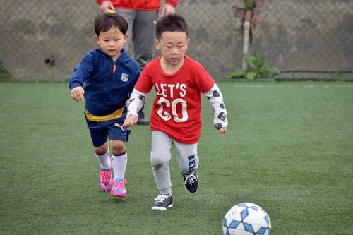 微信图片_20170417180637.jpg