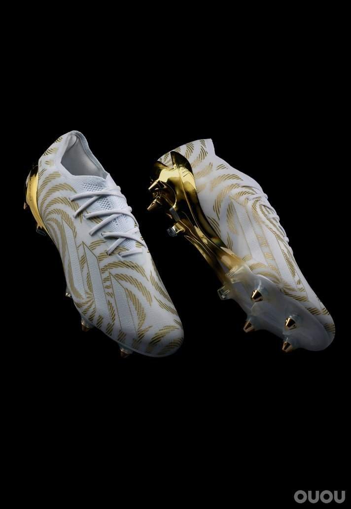 但是随着卡里姆·本泽马登顶,金球奖签名球鞋也就